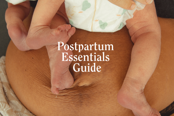 The Postpartum Essentials Guide